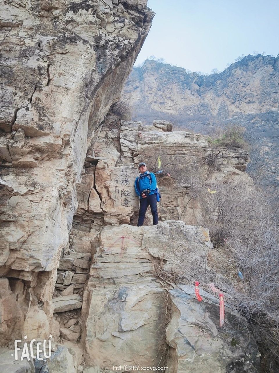 mmexport1573908158061