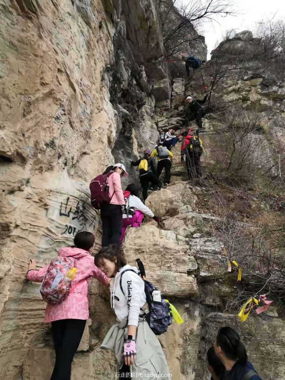 mmexport1573907726645