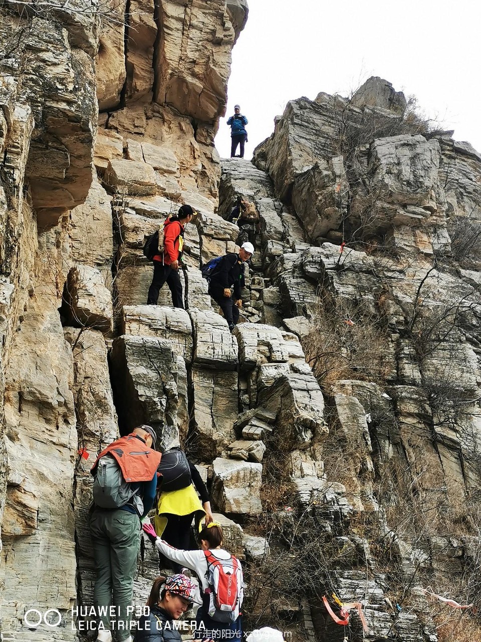 mmexport1574076680947