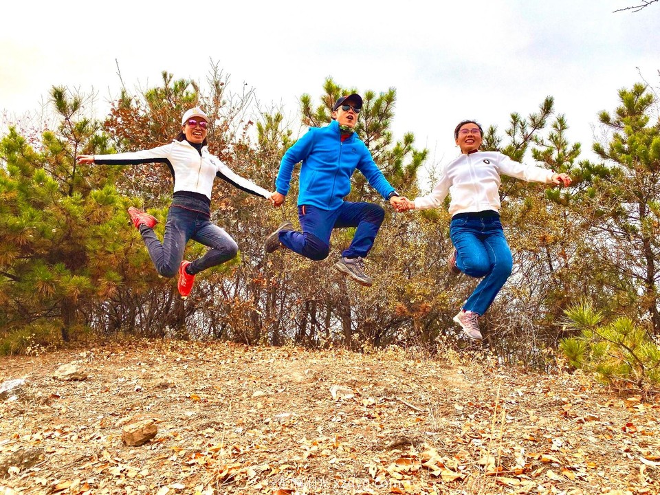 mmexport1573544888859