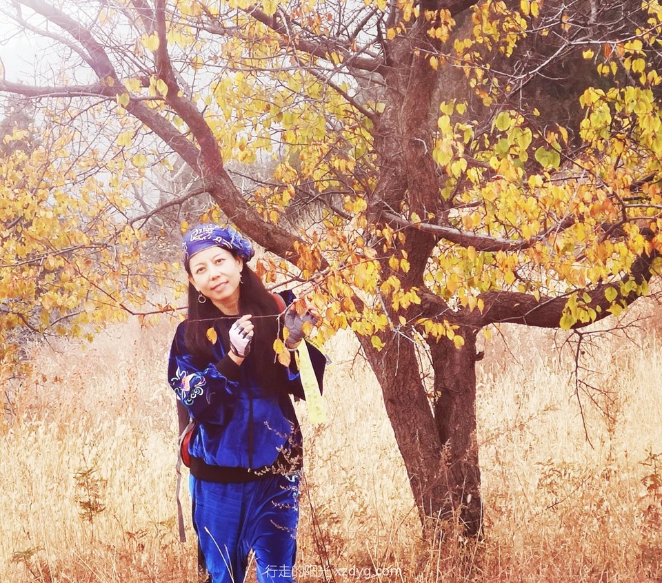 mmexport1573544634375