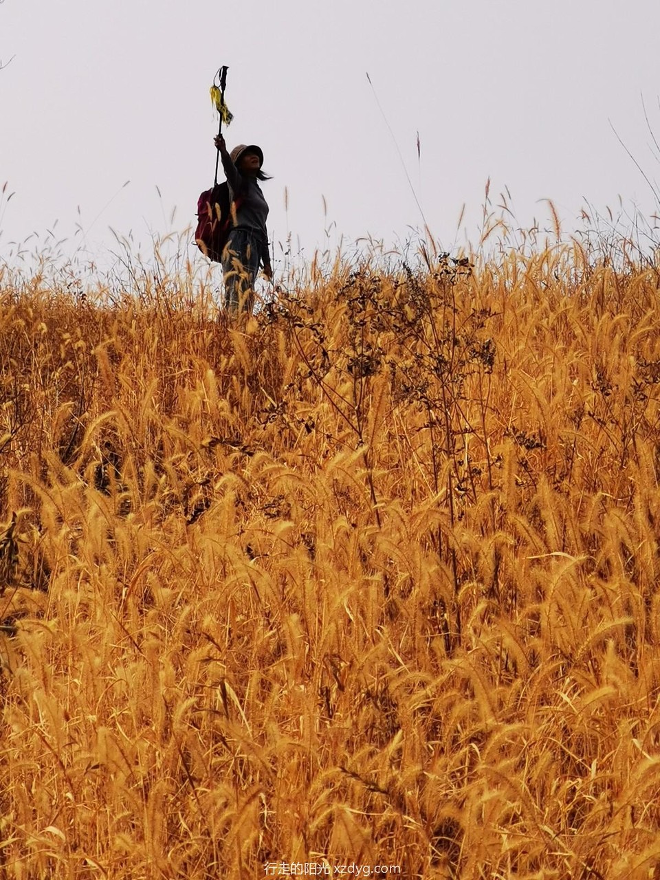 mmexport1573545462722