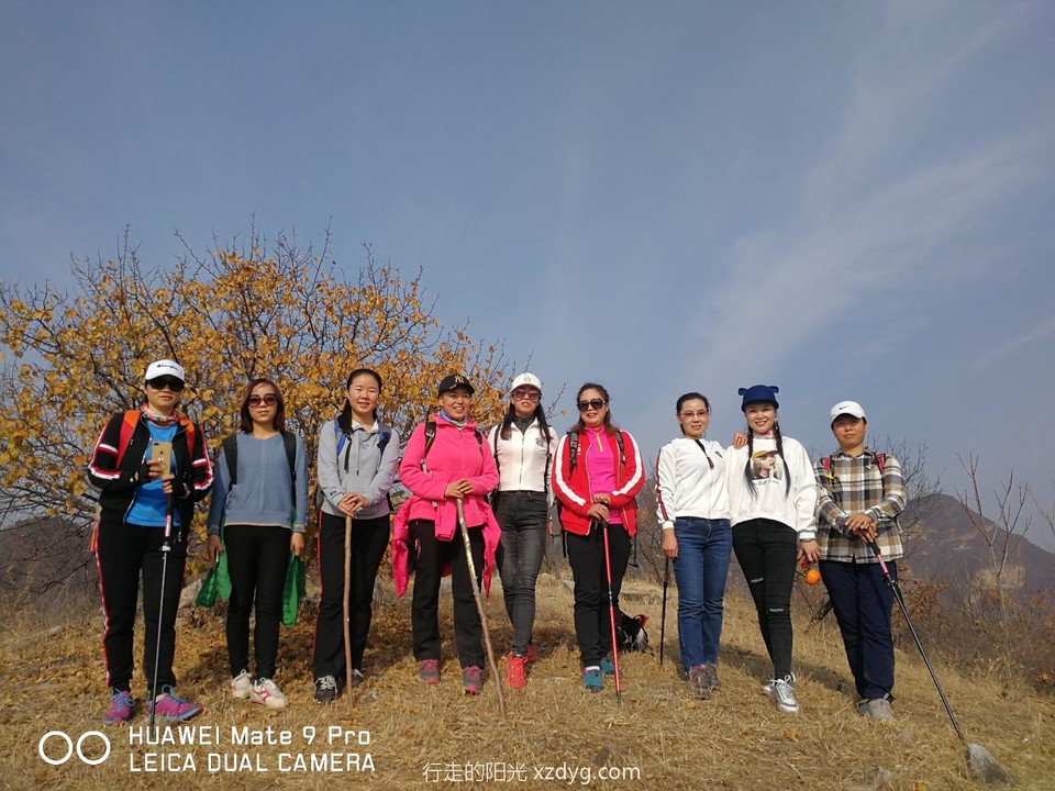 mmexport1573544258469