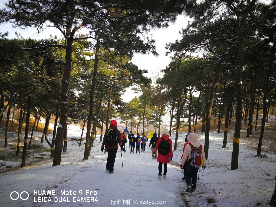 mmexport1575173725459