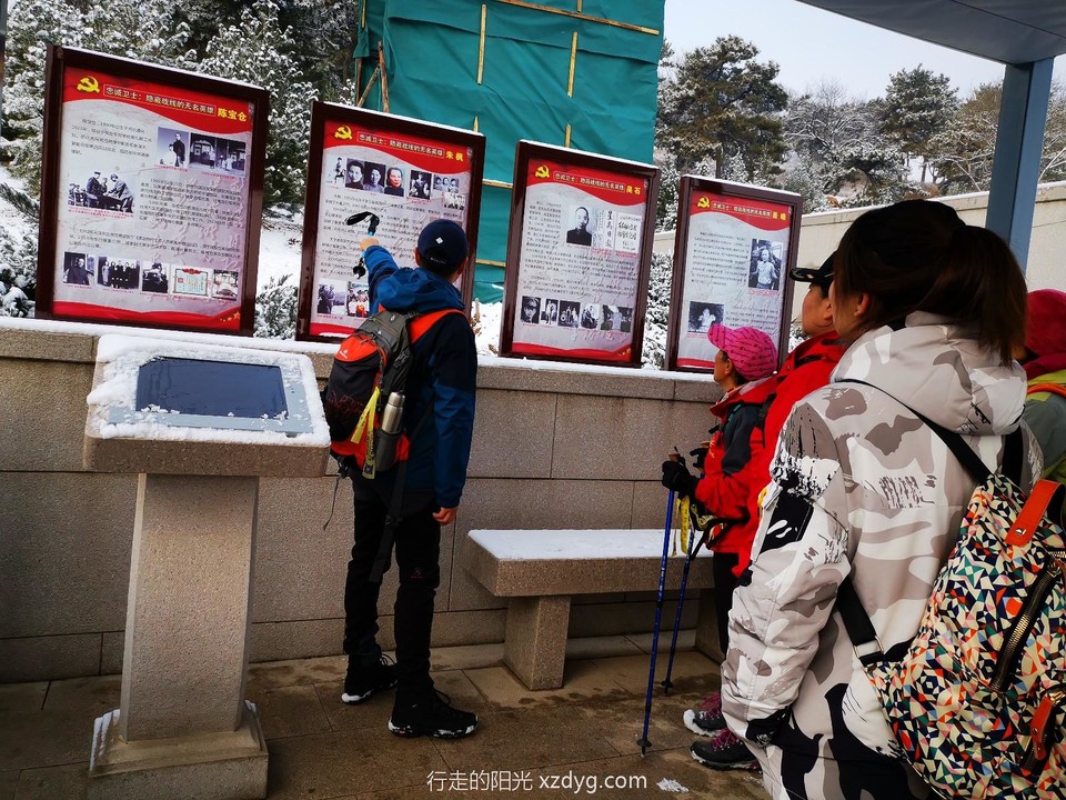 mmexport1575112554020