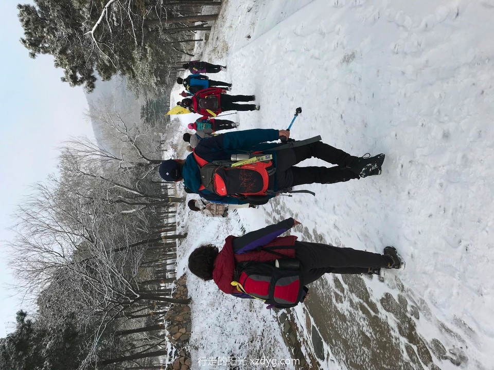 mmexport1575112064924