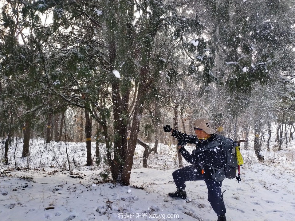 mmexport1575111925464