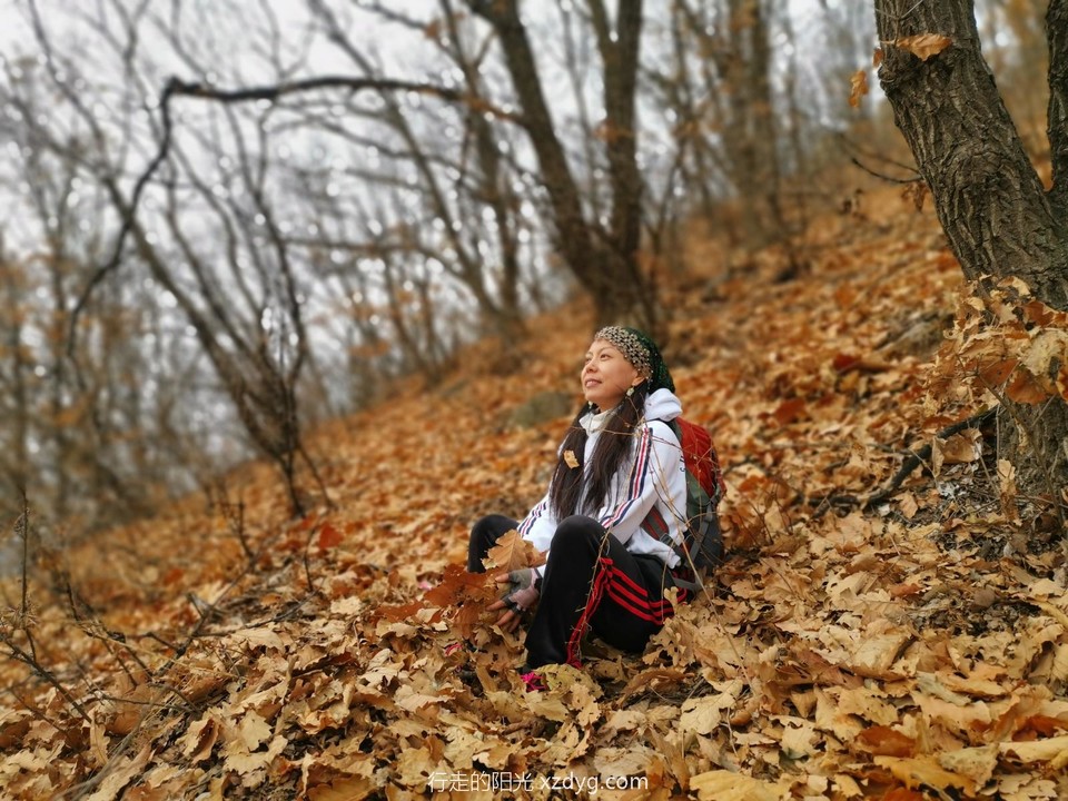 mmexport1574578091399