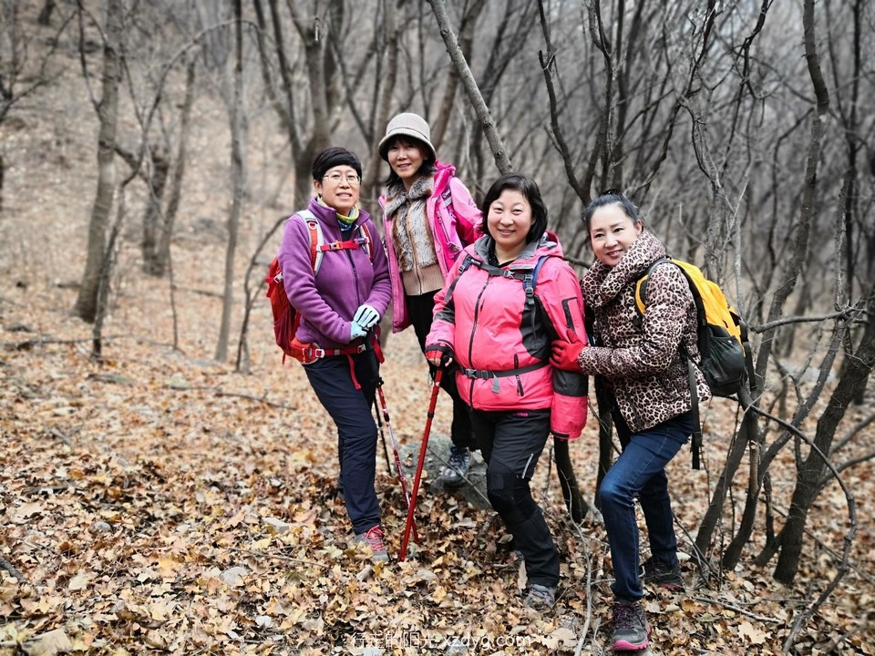 mmexport1574563675936