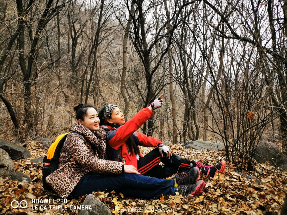 mmexport1574565569342