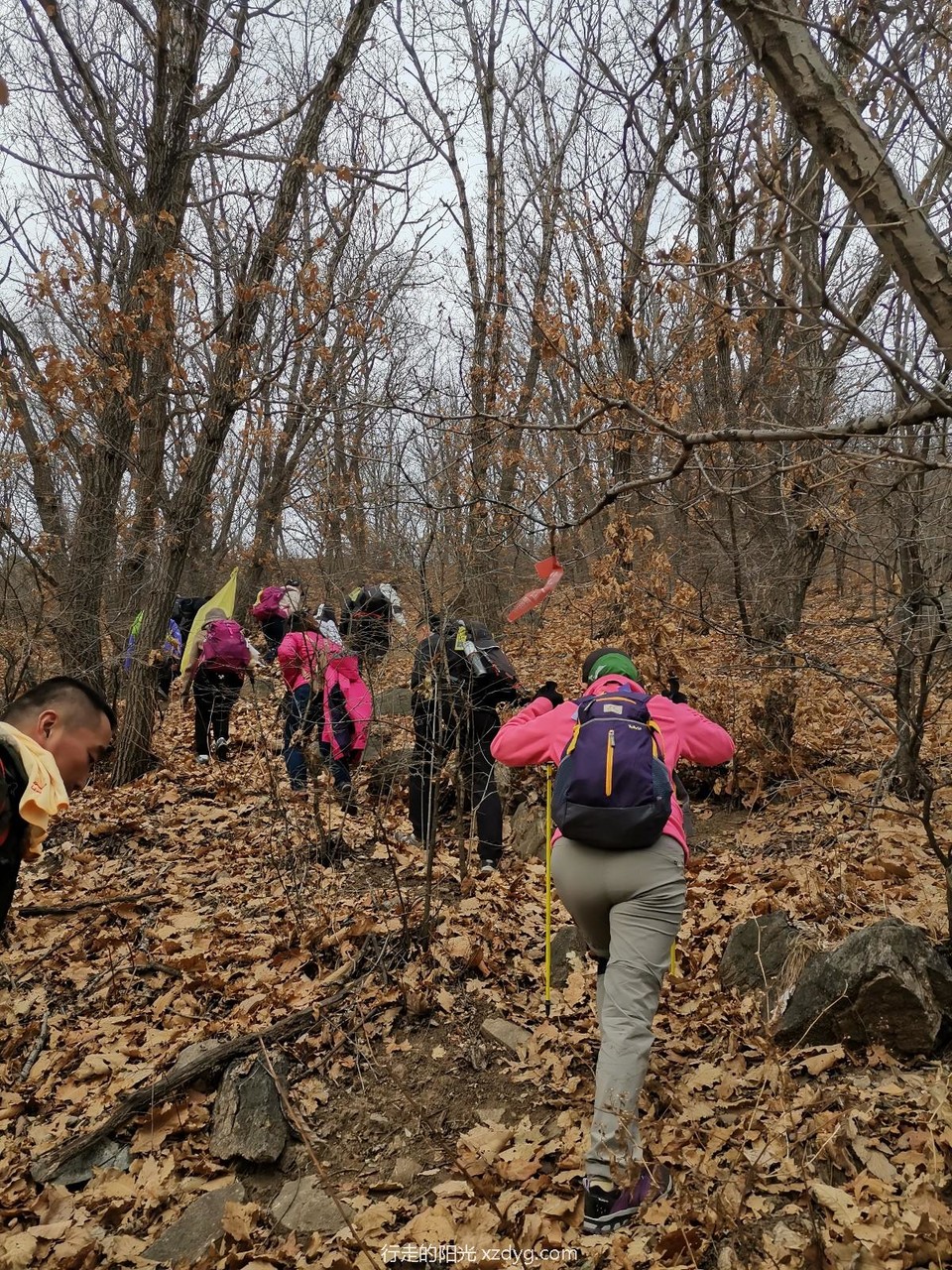 mmexport1574564903697