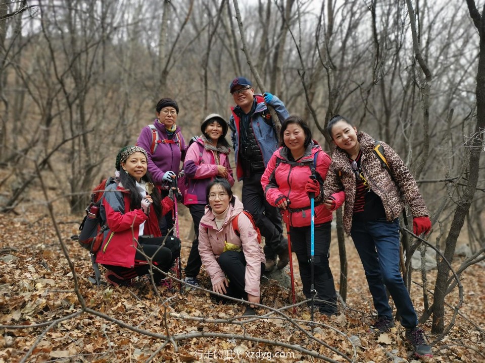 mmexport1574577918688