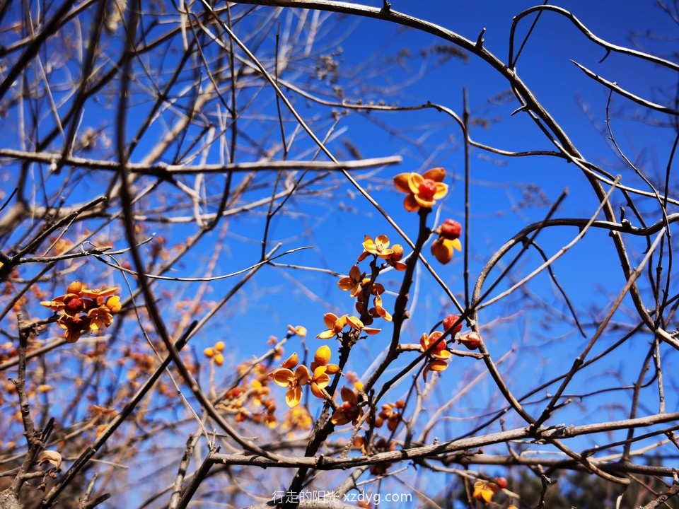 mmexport1575768957518