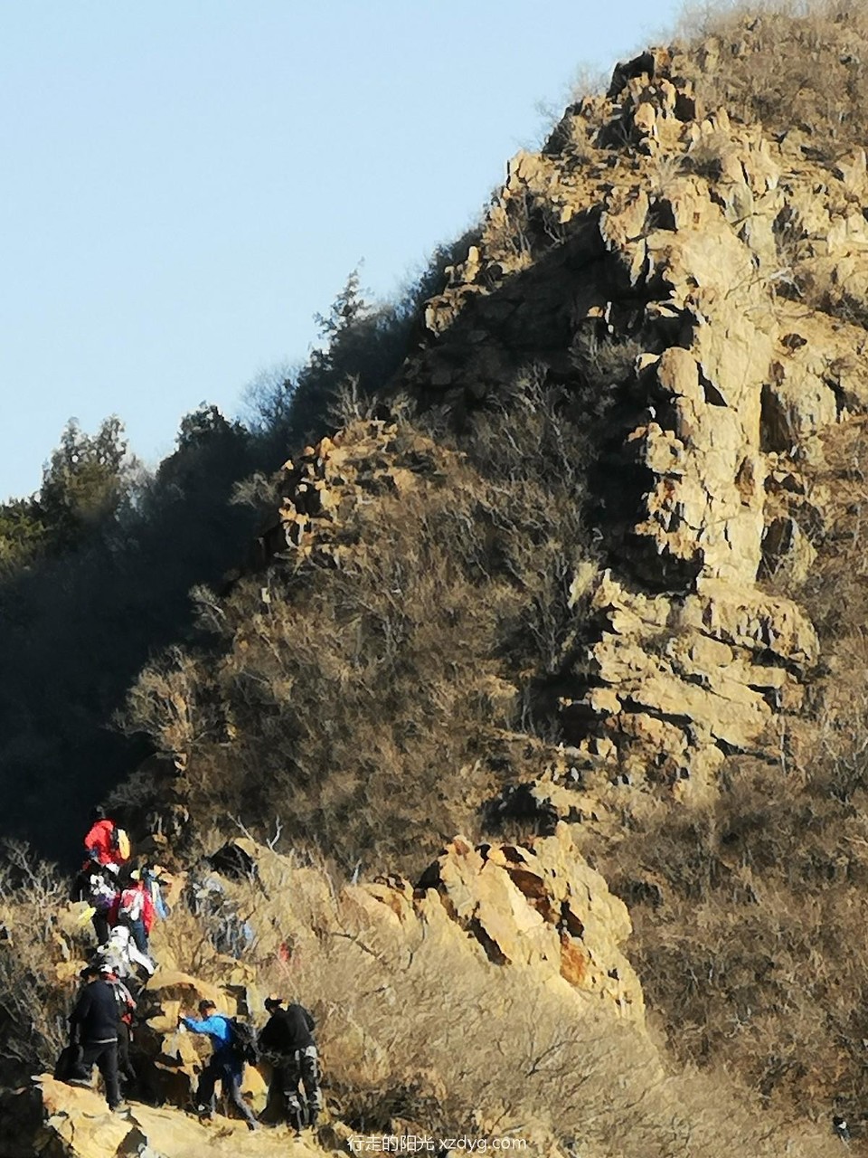 mmexport1575768889423