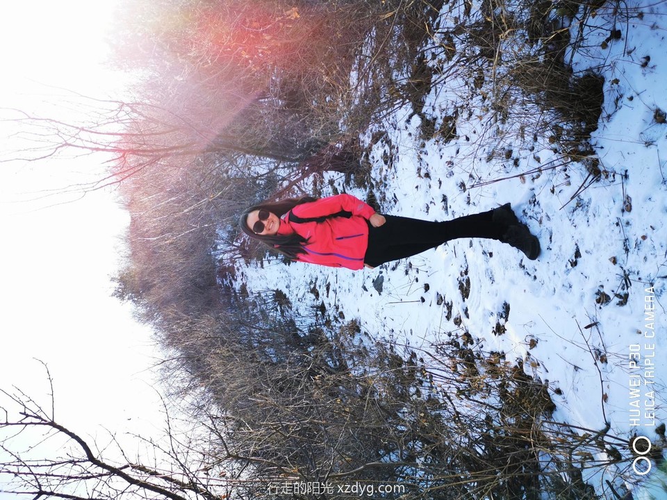 mmexport1575768749177