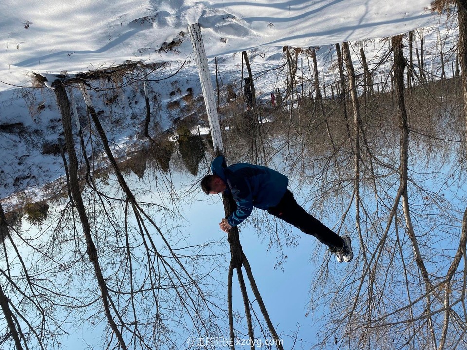 mmexport1576991221476