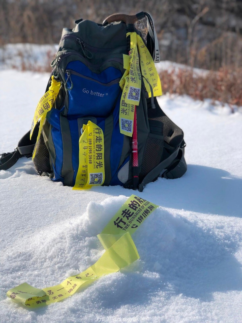 mmexport1576990190115