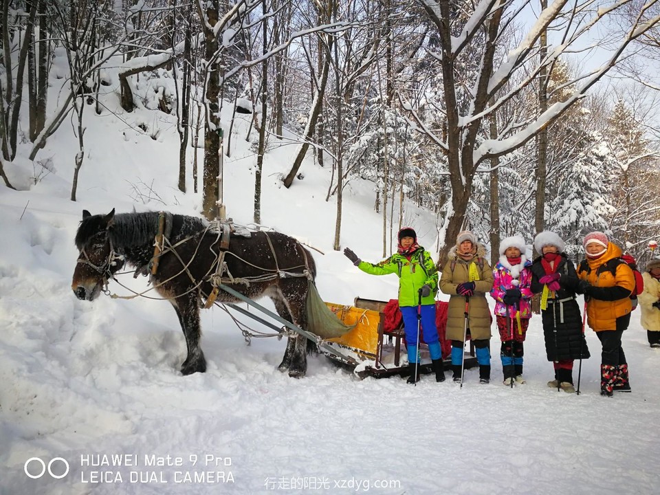 mmexport1578149331189