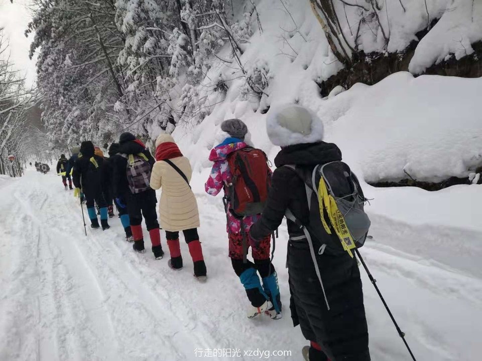 mmexport1578031616403