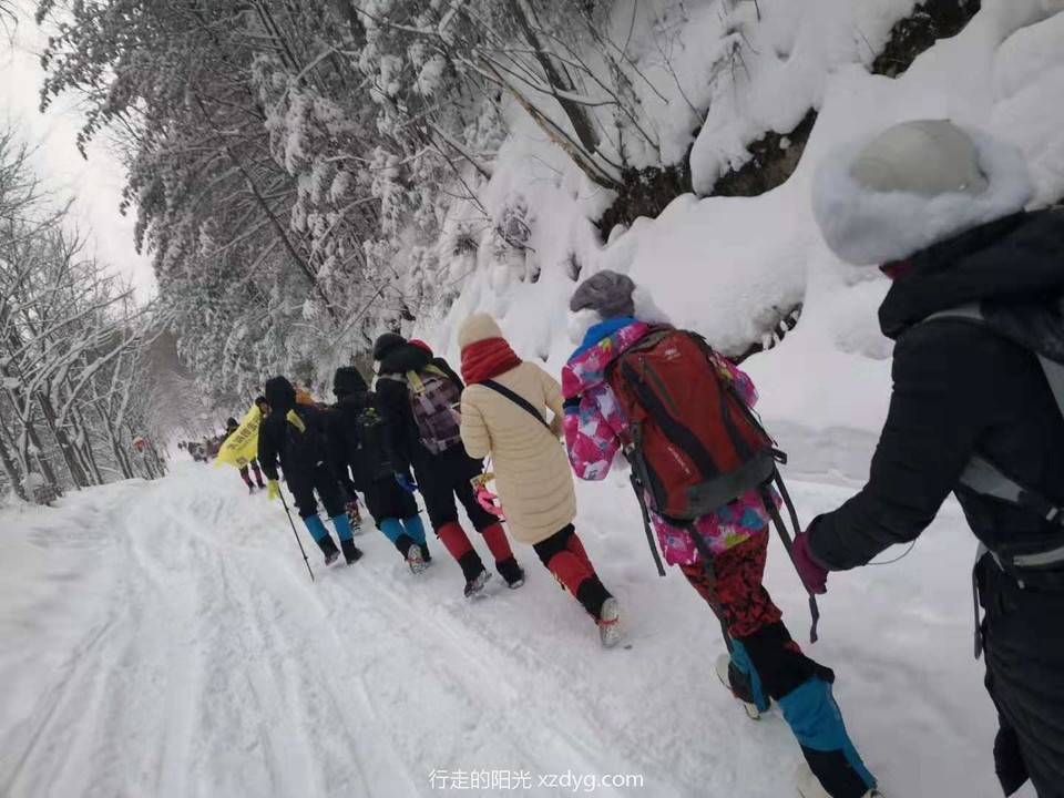 mmexport1578031585434