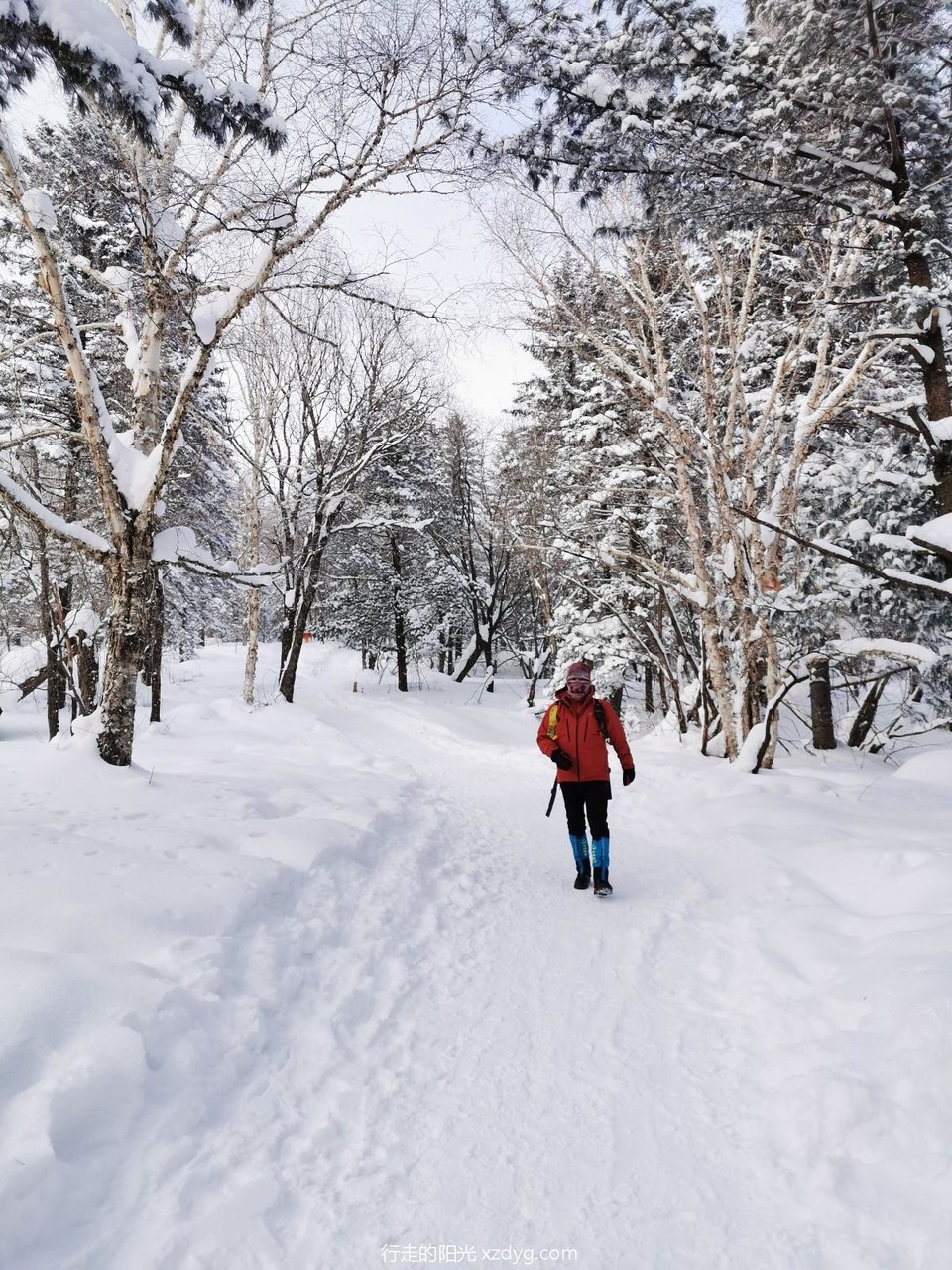 mmexport1578031481312