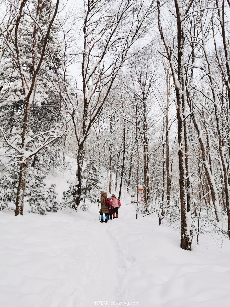 mmexport1578031296739