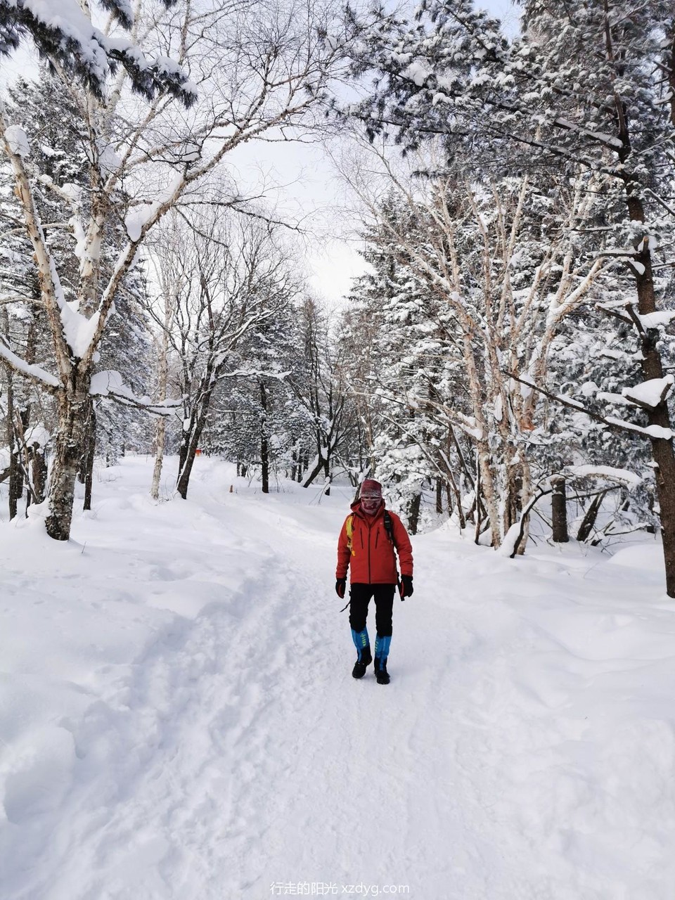 mmexport1578031496974