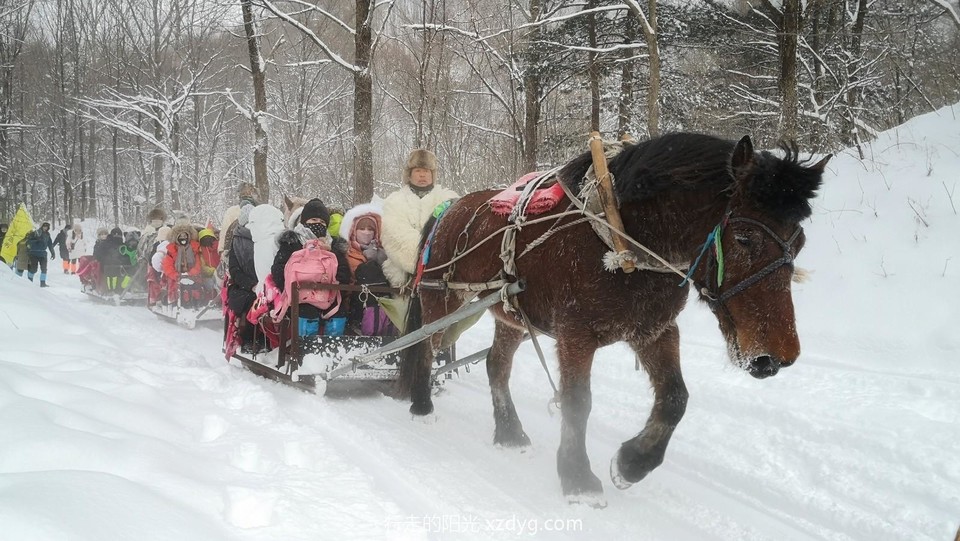 mmexport1578031198008