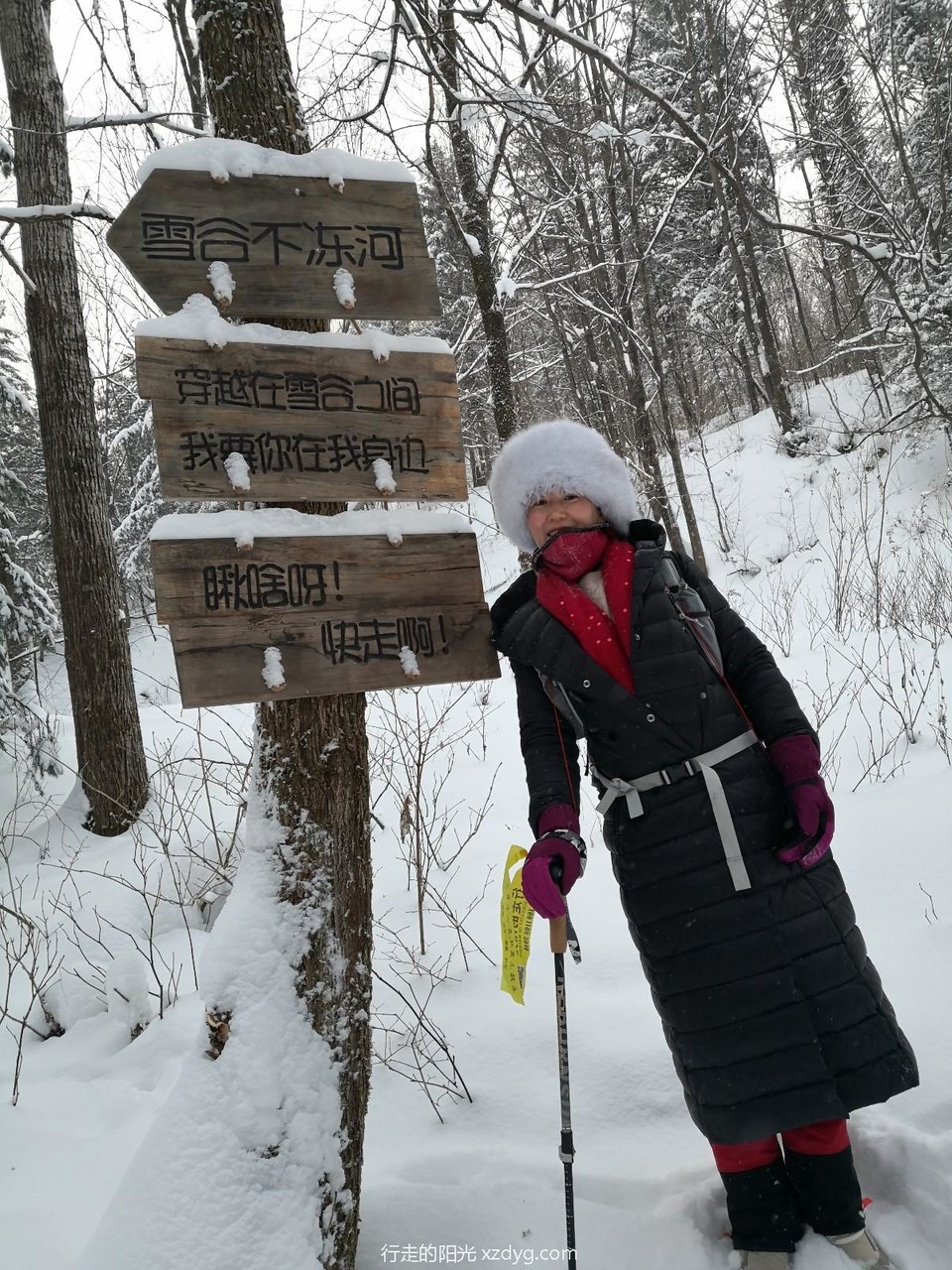 mmexport1578031267999