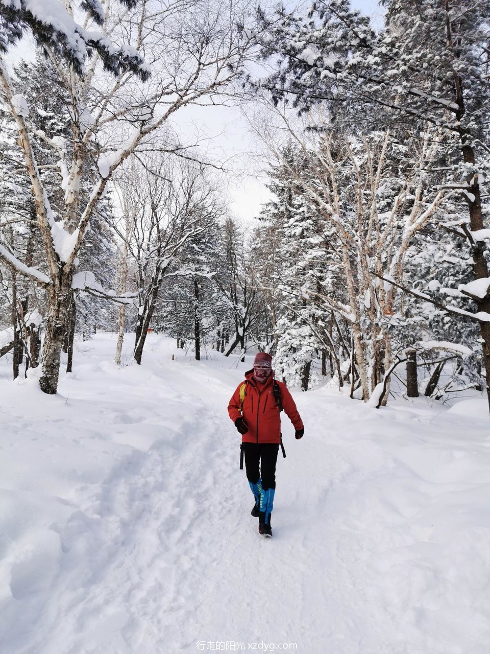 mmexport1578031519102