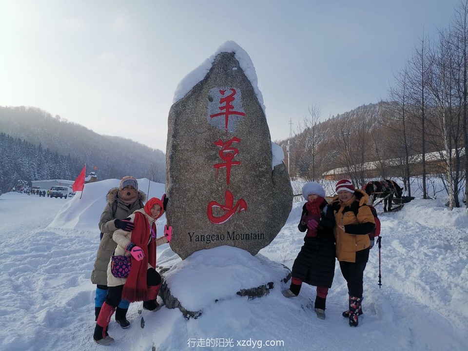 mmexport1578031917062