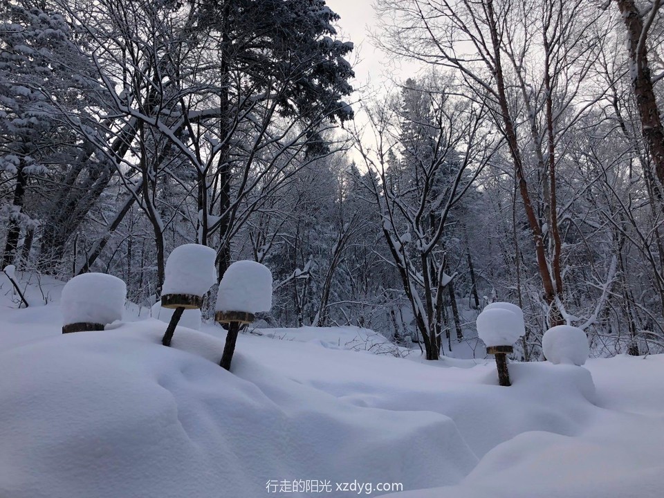 mmexport1577924782904