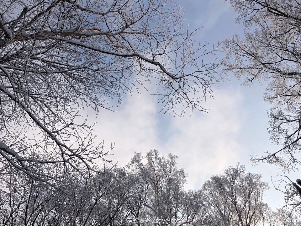 mmexport1577924745733