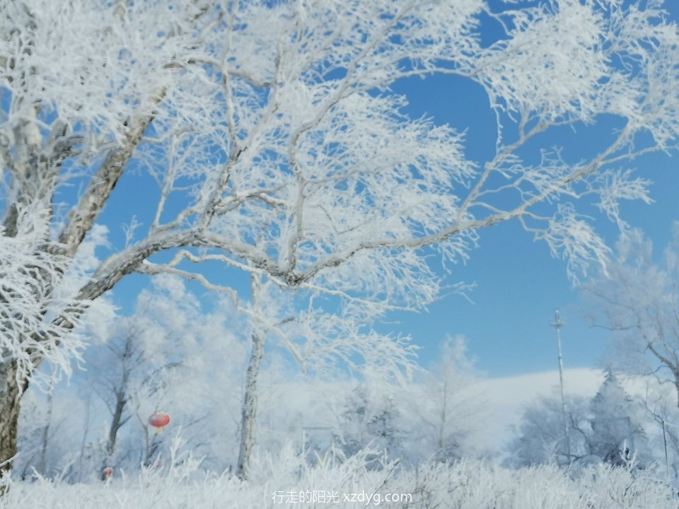 mmexport1578031835376