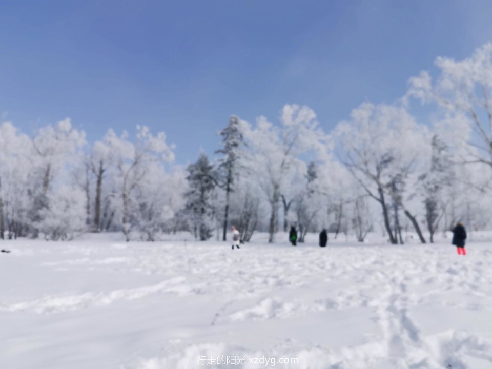 mmexport1578031367887