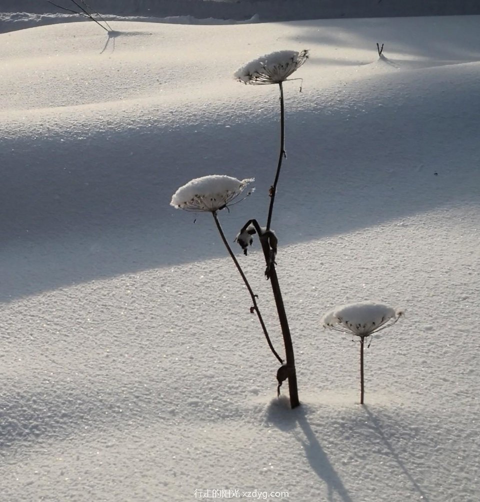 mmexport1578031181171