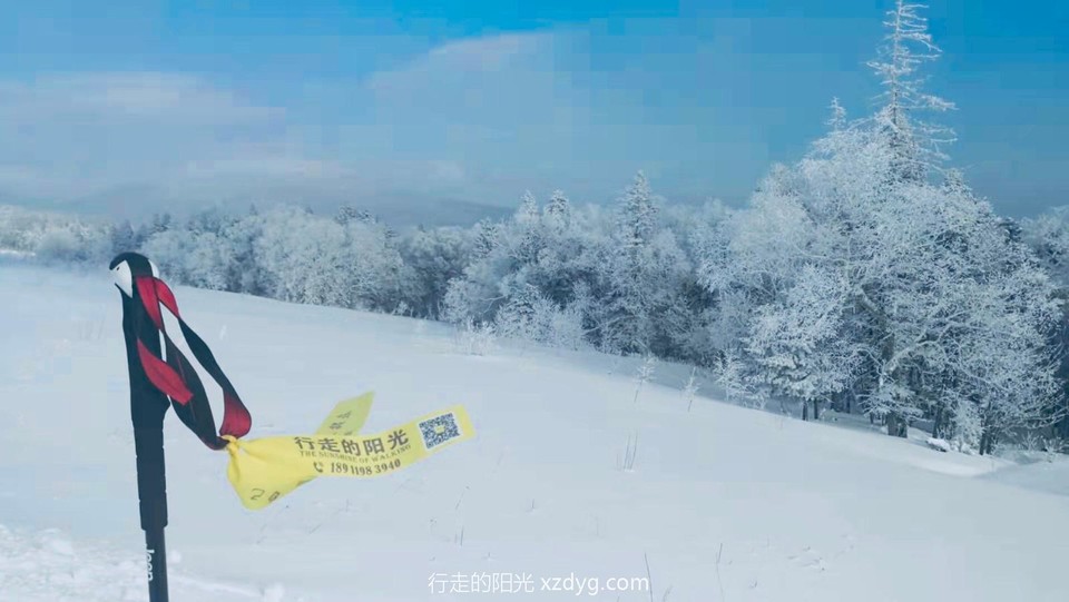 mmexport1578029129488