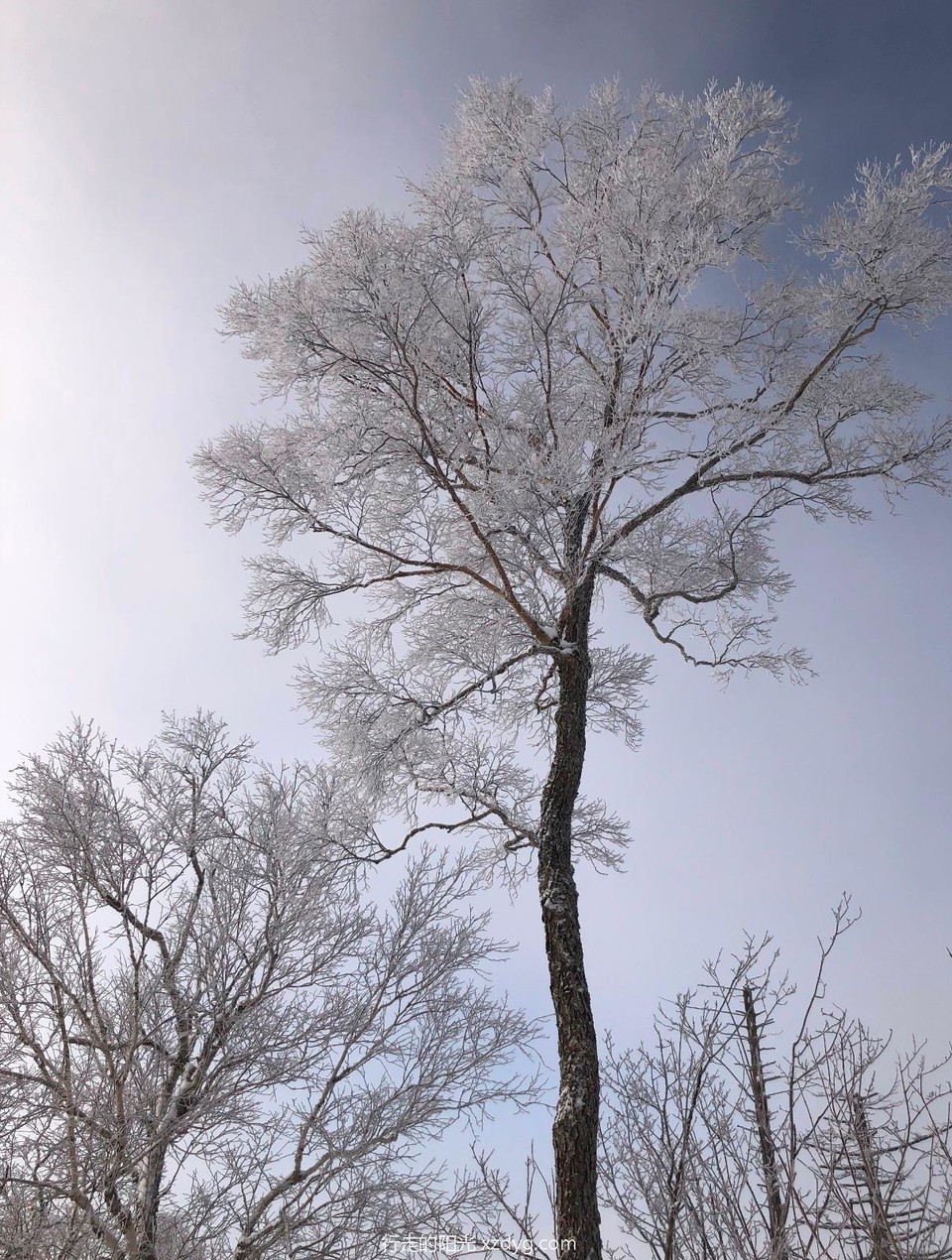 mmexport1577924660759