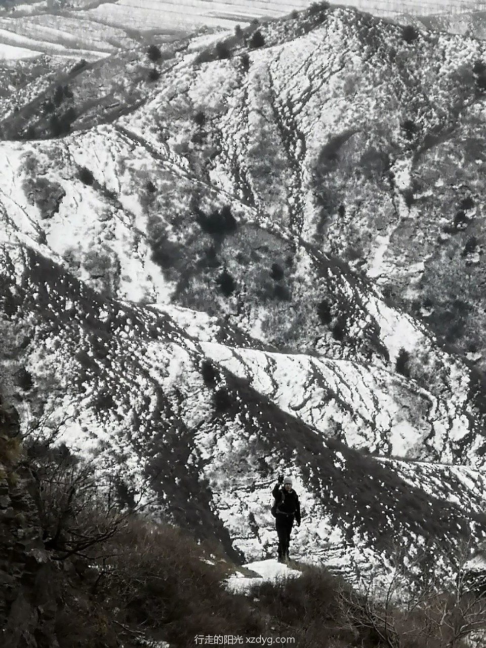 mmexport1578810395362