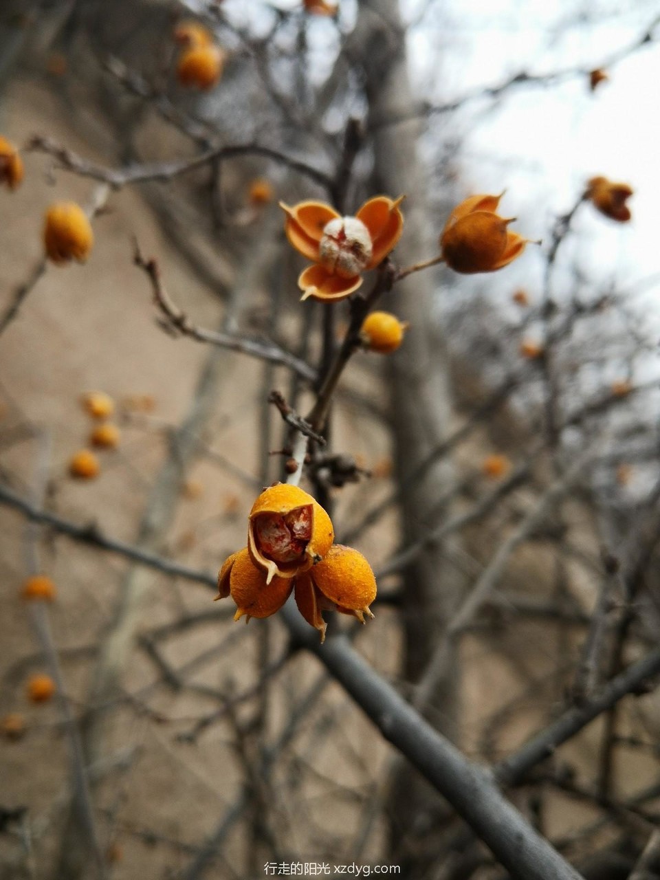 mmexport1579401556322