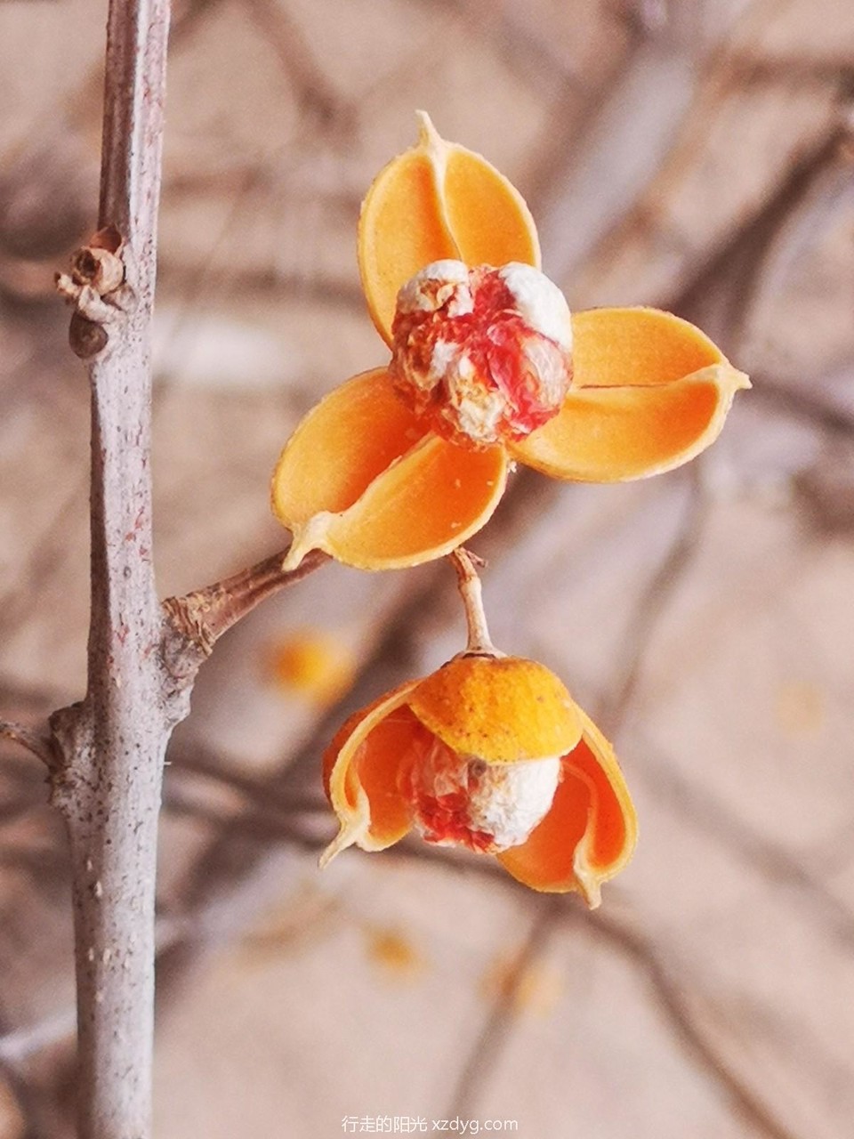 mmexport1579401534990