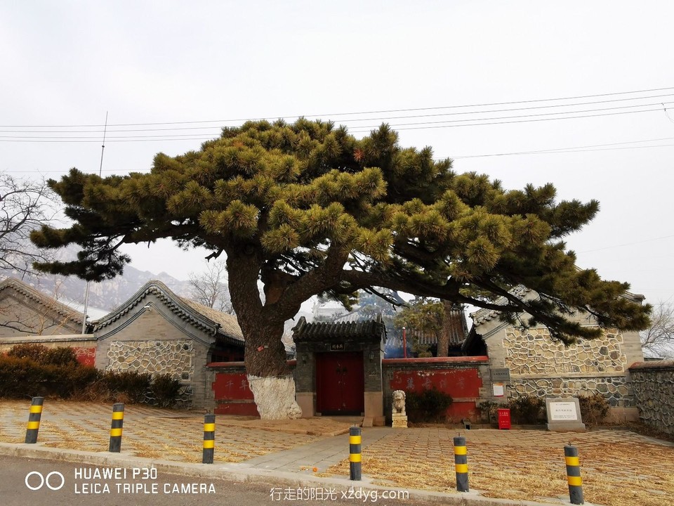 mmexport1579400231004