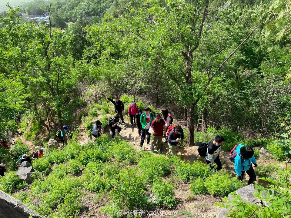 mmexport1589111084954