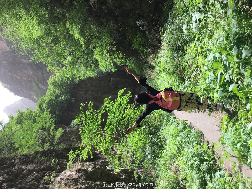 mmexport1589727729063