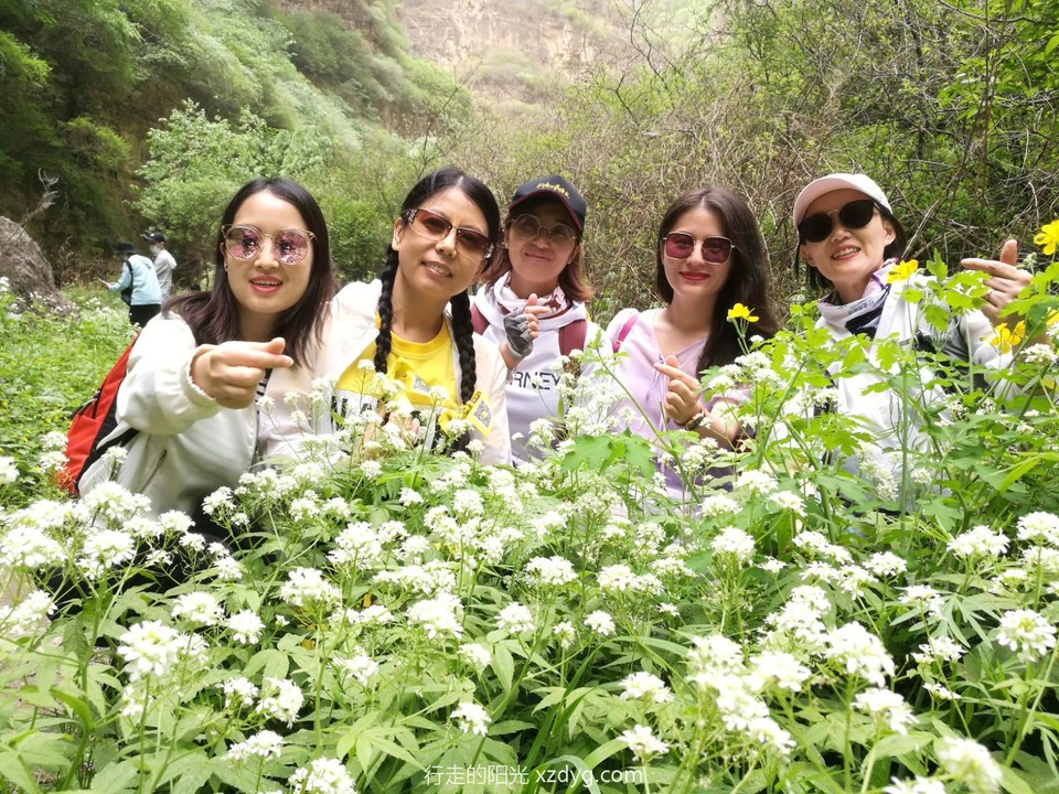 mmexport1589726845988