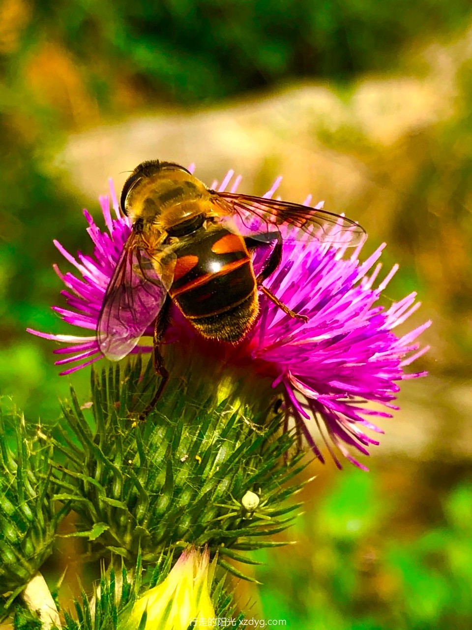 mmexport1589726688394