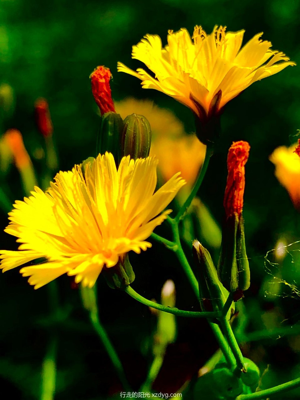 mmexport1589726672876