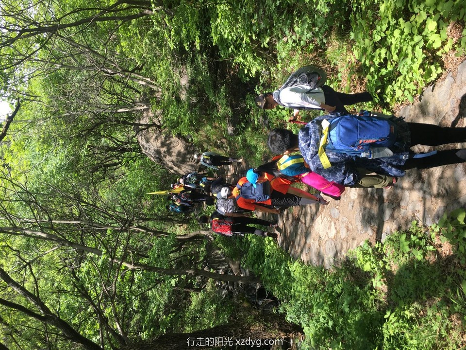 mmexport1590312405860