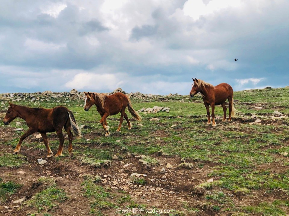 mmexport1590311323704