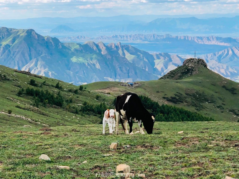 mmexport1590311288271